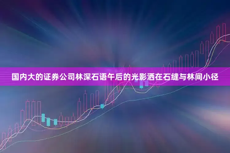 国内大的证券公司林深石语午后的光影洒在石缝与林间小径