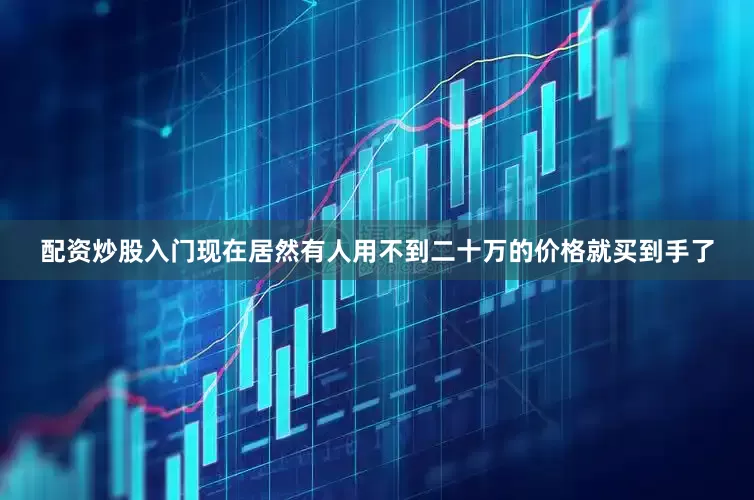 配资炒股入门现在居然有人用不到二十万的价格就买到手了